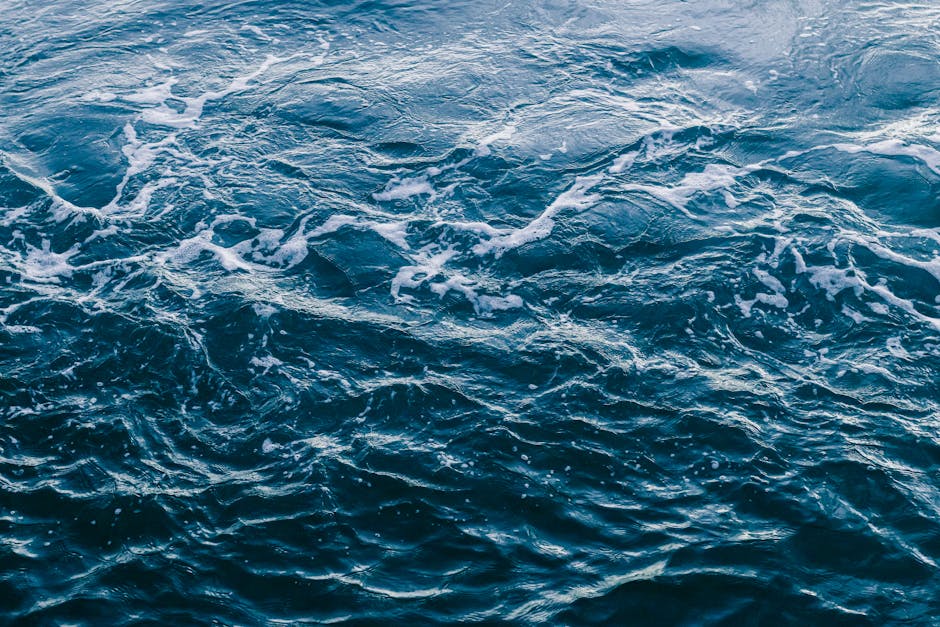agua boricada onde comprar 1