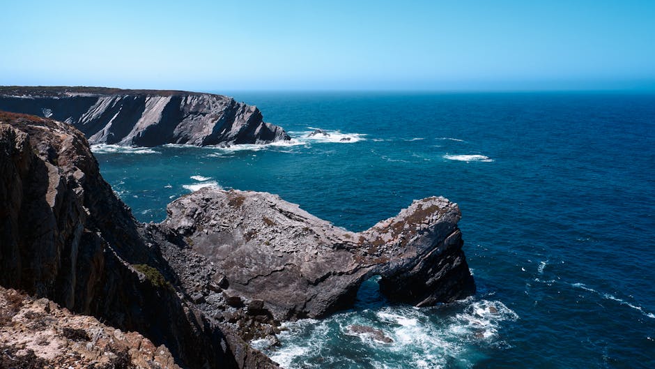 onde encontrar fósseis em portugal 1