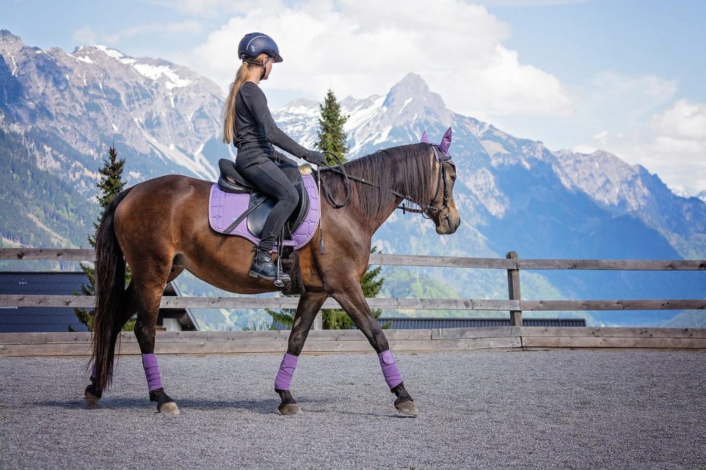 Équitation Montijo : l'expérience équestre à Ribatejo
