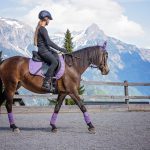 Montijo Horse Riding: The Equestrian Experience in Ribatejo