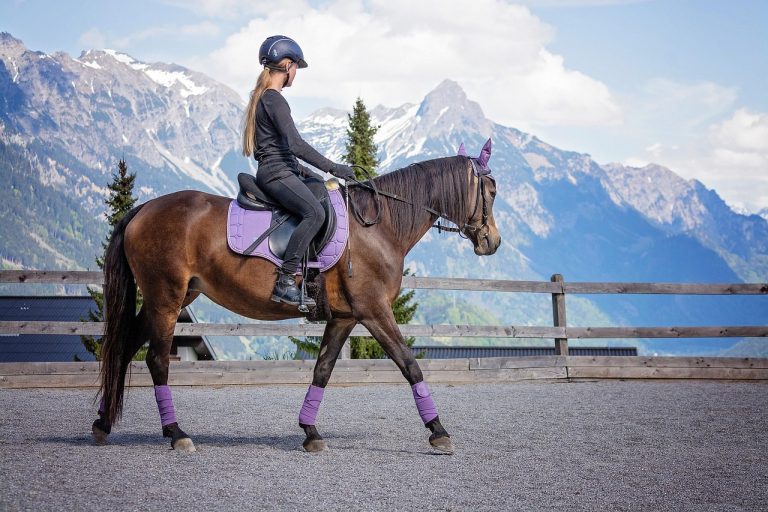 Montijo Horse Riding: The Equestrian Experience in Ribatejo