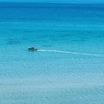 阿尔科巴萨海滩图片：探索西海岸的沙滩和大海
