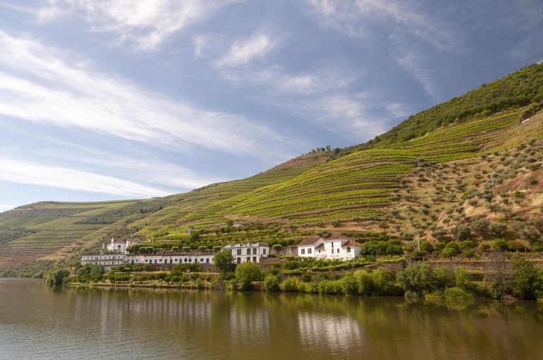 Cinfães Villages: Rural Charms to Discover in the Douro
