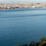 Observación de aves Lisboa: la sorpresa natural de Odivelas