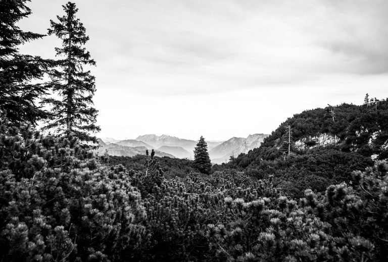 Caminhada Mogadouro: Natureza, História e Tradição Trasmontana