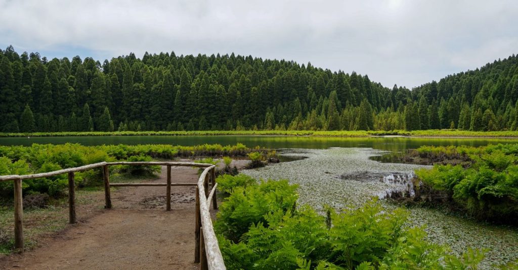 Reservas naturales de las Azores: naturaleza viva y secretos por descubrir