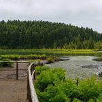 Réserves naturelles des Açores : nature vivante et secrets à découvrir