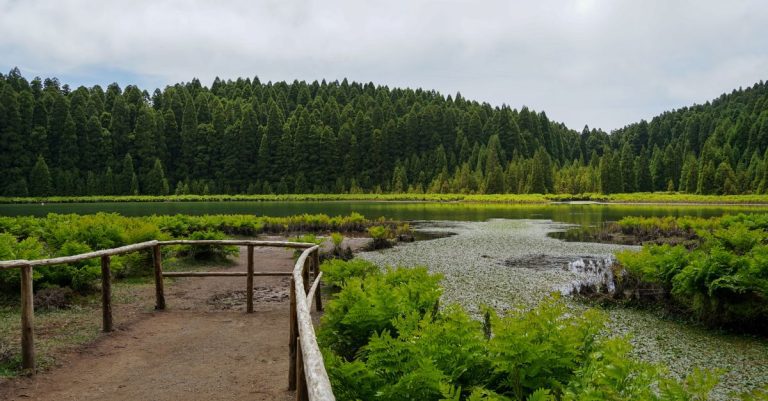 Reservas naturales de las Azores: naturaleza viva y secretos por descubrir