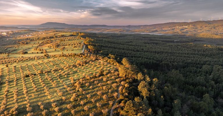 Turismo Rural em Alcacovas: Tradição e Natureza no Alentejo Profundo