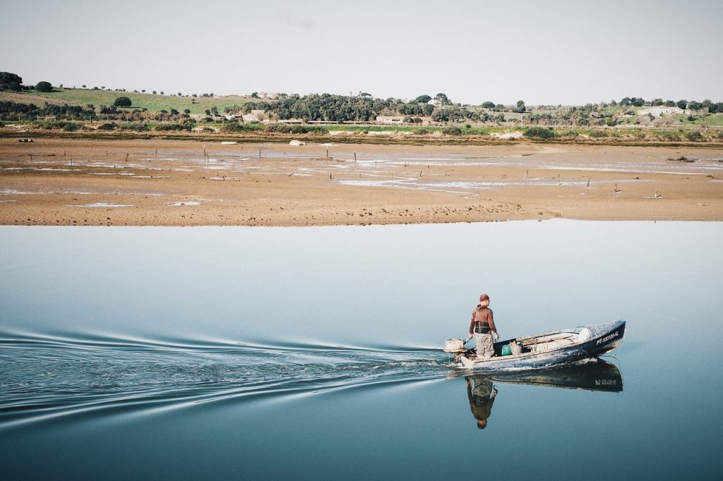Rural Tourism in Alcobaça: Refuges and Tradition in the Heart of the Rural
