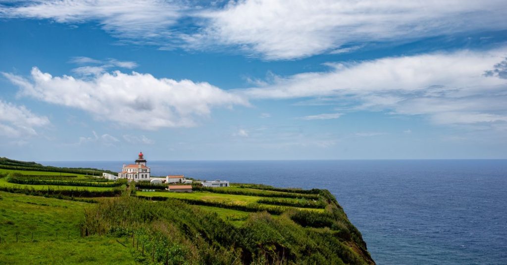 Vinos de São Miguel en Soure: tradición y sabor natural