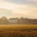 Casas de Campo Leiria: Refúgios com Alma e Natureza Próxima