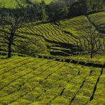 Cascatas Cabeceiras de Basto: Beleza Natural e Tranquilidade no Minho