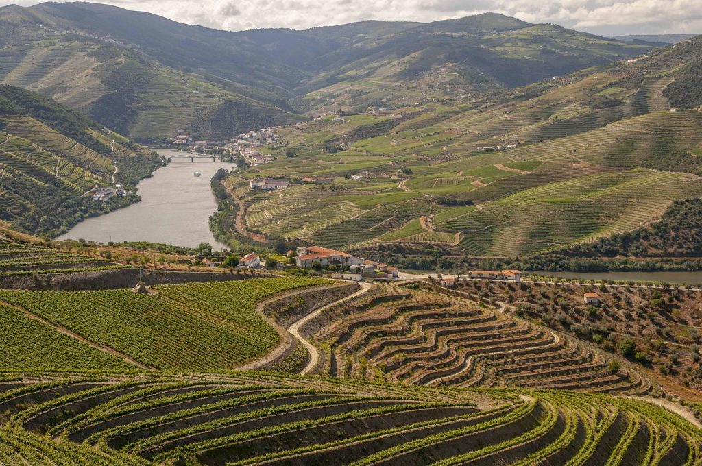 Pescadores Encontrados em Nelas: Tradição e Segredos do Douro