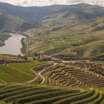 Pescadores Encontrados em Nelas: Tradição e Segredos do Douro