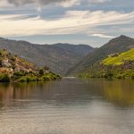Pescadores Norte em Nelas: Tradição que Encanta o Douro