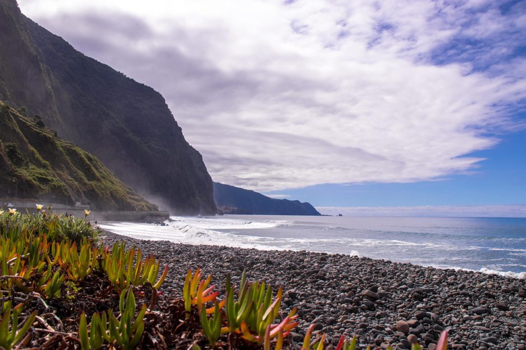 Queijos São Vicente: Tradição e Sabor no Coração da Madeira