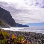 Queijos São Vicente: Tradição e Sabor no Coração da Madeira