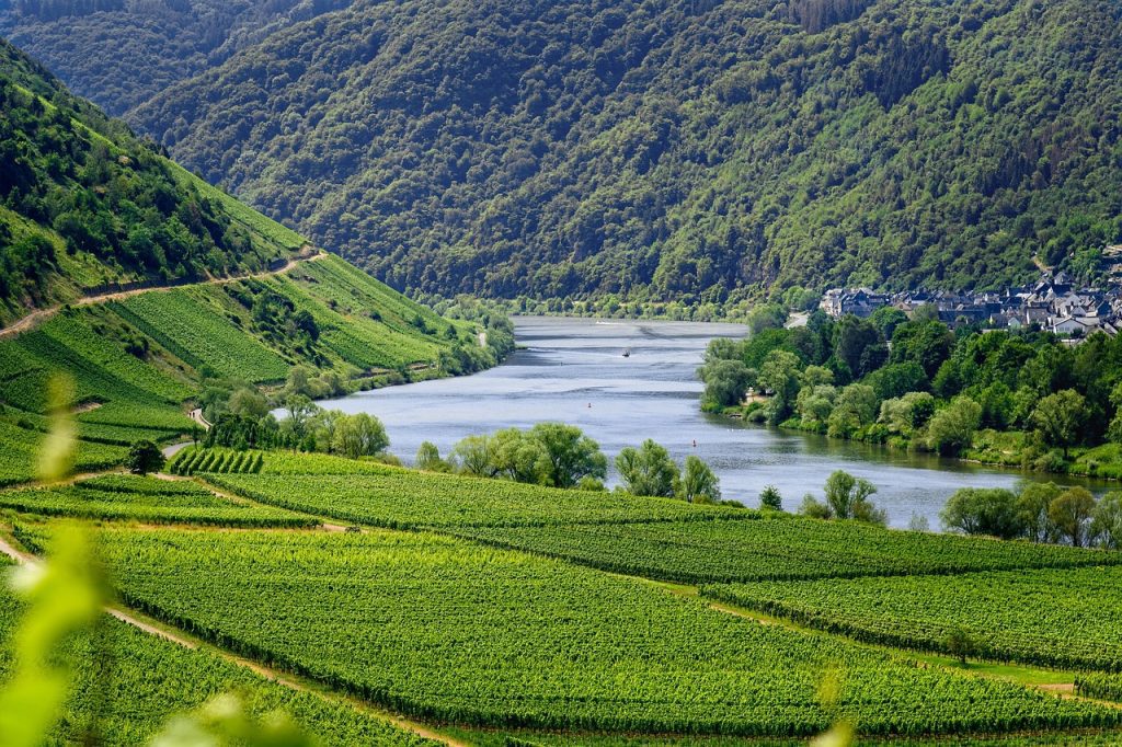 Quintas de Monção: Tradição e Vinho no Coração do Minho