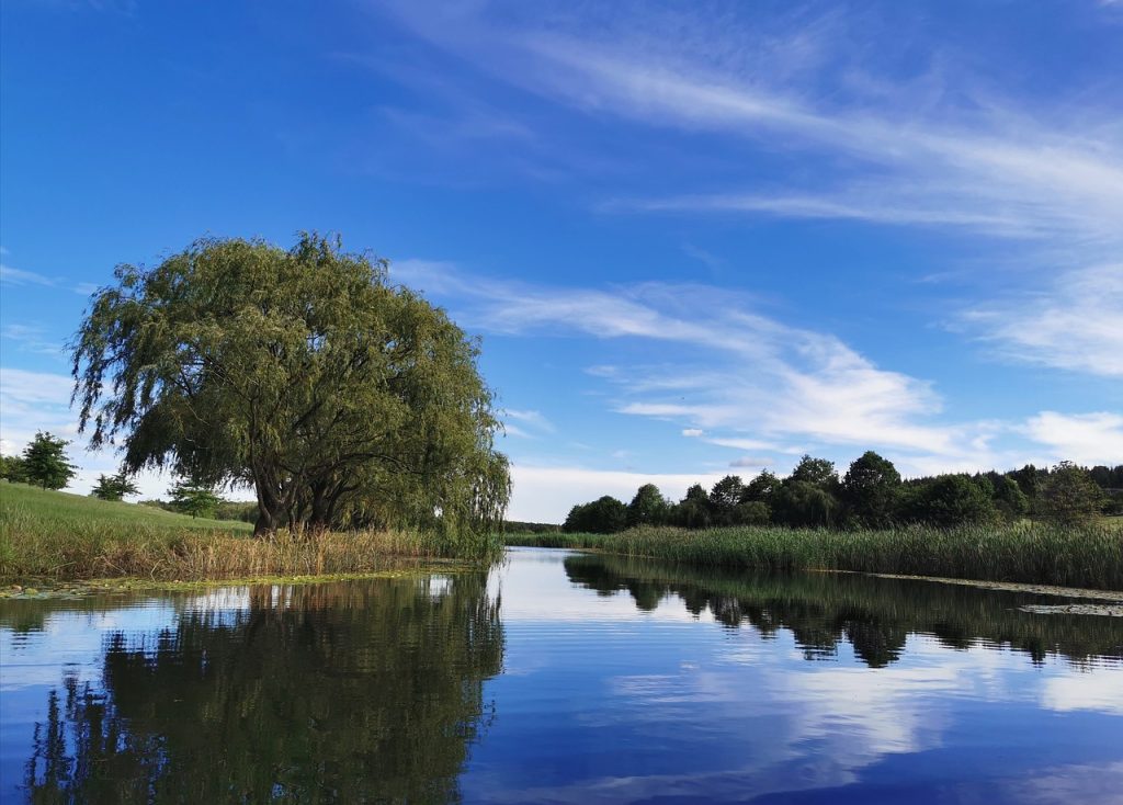 Salvaterra de Magos Barragem: Segredos e Beleza Natural no Ribatejo