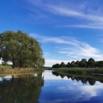 Salvaterra de Magos Barragem: Segredos e Beleza Natural no Ribatejo
