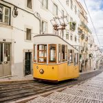 Visitas Cartuxa no Cartaxo: Tradição e Vinhos para Descobrir
