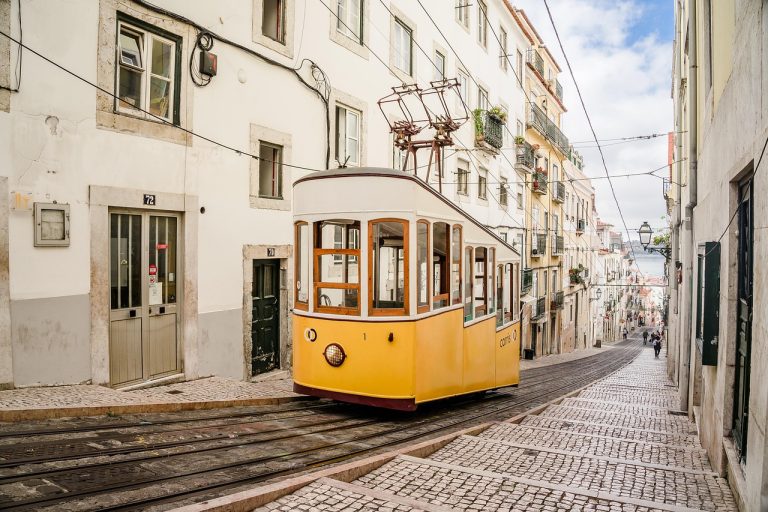 Visitas Cartuxa no Cartaxo: Tradição e Vinhos para Descobrir