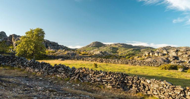 Alojamento Local Pampilhosa da Serra: Conforto e Natureza na Beira Serra