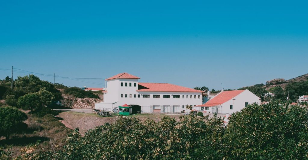 Passeio a Cavalo para 2 no Cadaval: Natureza e Tradição Rural