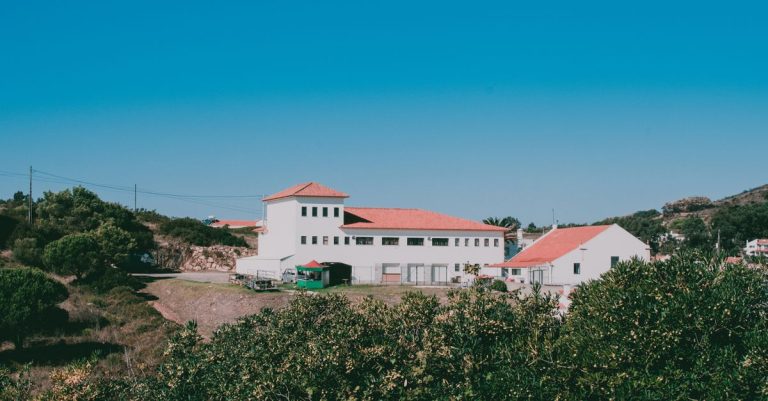 Passeio a Cavalo para 2 no Cadaval: Natureza e Tradição Rural