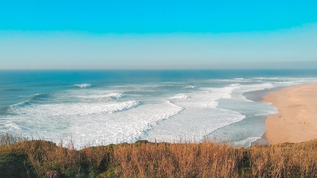 Pratos típicos de Nazaré: sabores autênticos à beira-mar