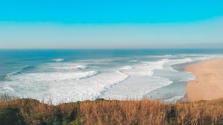 Pratos típicos de Nazaré: sabores autênticos à beira-mar