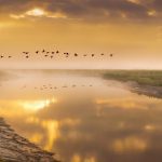 Rios de Valença Bahia: Descubra a Natureza e Tradição à Beira da Água
