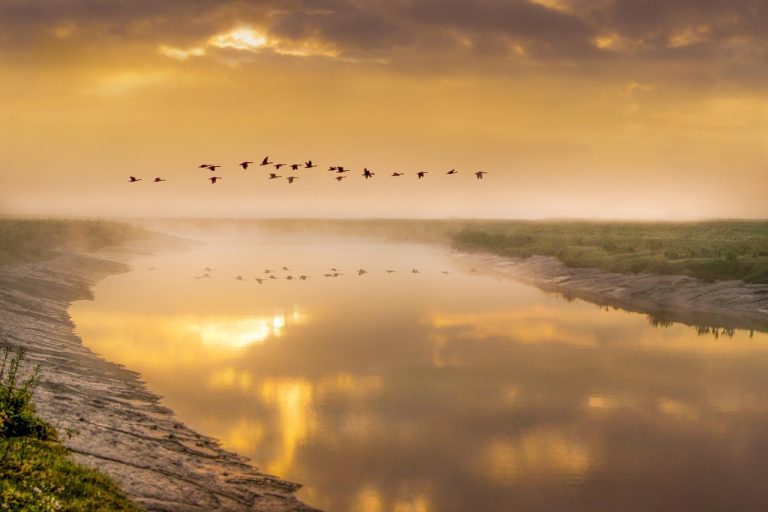Rios de Valença Bahia: Descubra a Natureza e Tradição à Beira da Água