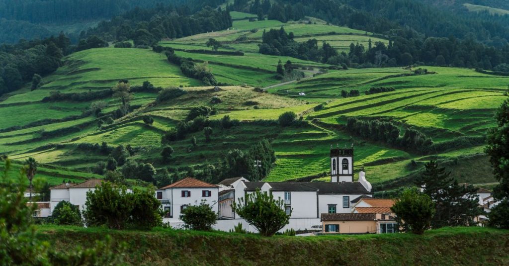 Turismo Rural Sertã: Natureza, Tradição e Descoberta Autêntica
