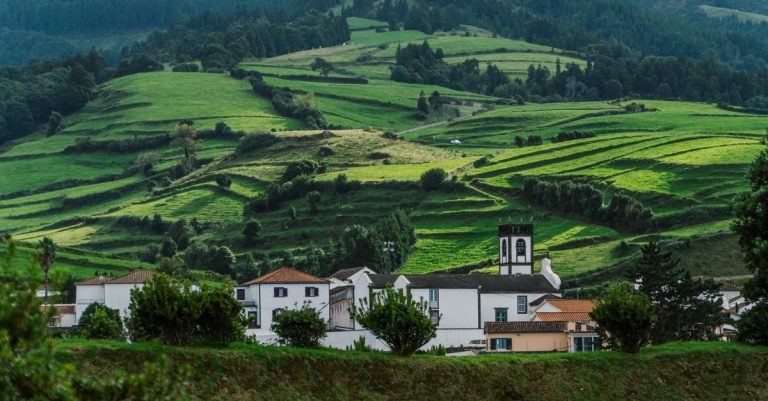 Turismo Rural Sertã: Natureza, Tradição e Descoberta Autêntica